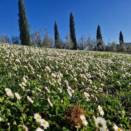 Agriturismo Val Della Pieve Анґ'ярі Екстер'єр фото