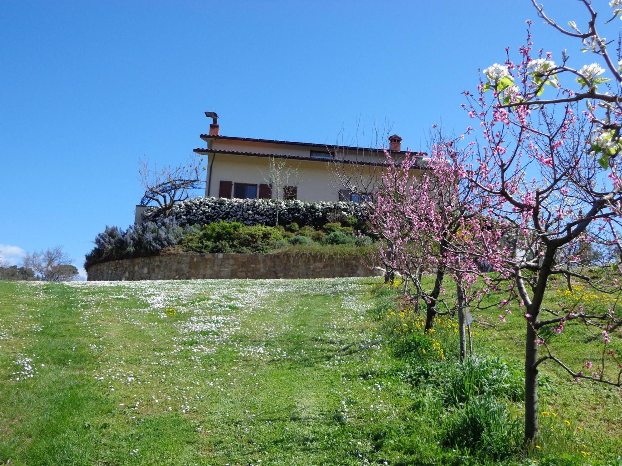 Agriturismo Val Della Pieve Анґ'ярі Екстер'єр фото