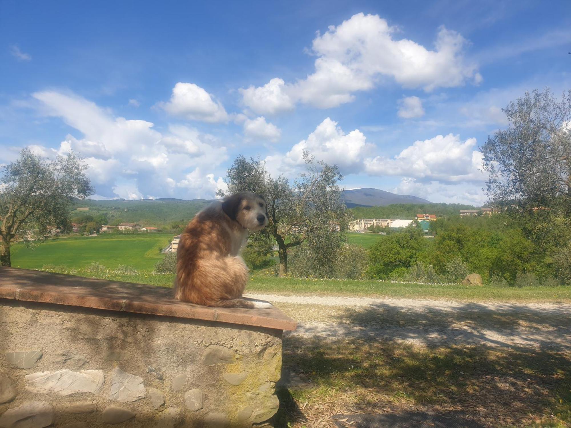 Agriturismo Val Della Pieve Анґ'ярі Екстер'єр фото