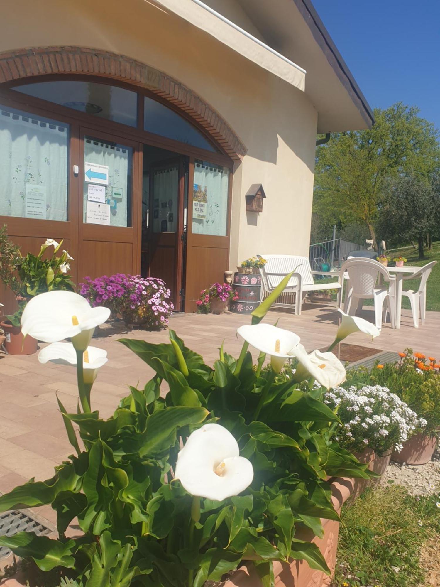 Agriturismo Val Della Pieve Анґ'ярі Екстер'єр фото