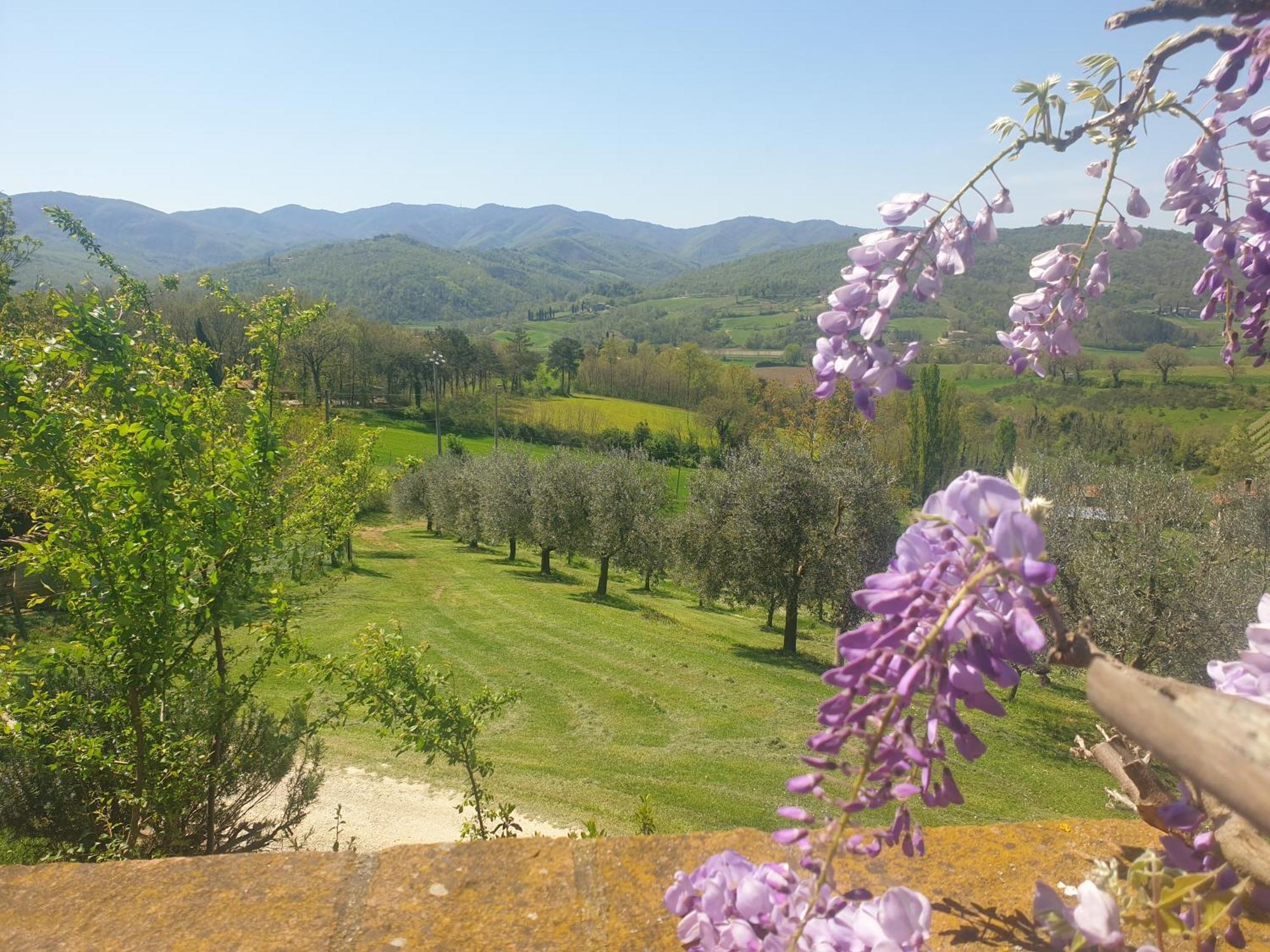 Agriturismo Val Della Pieve Анґ'ярі Екстер'єр фото