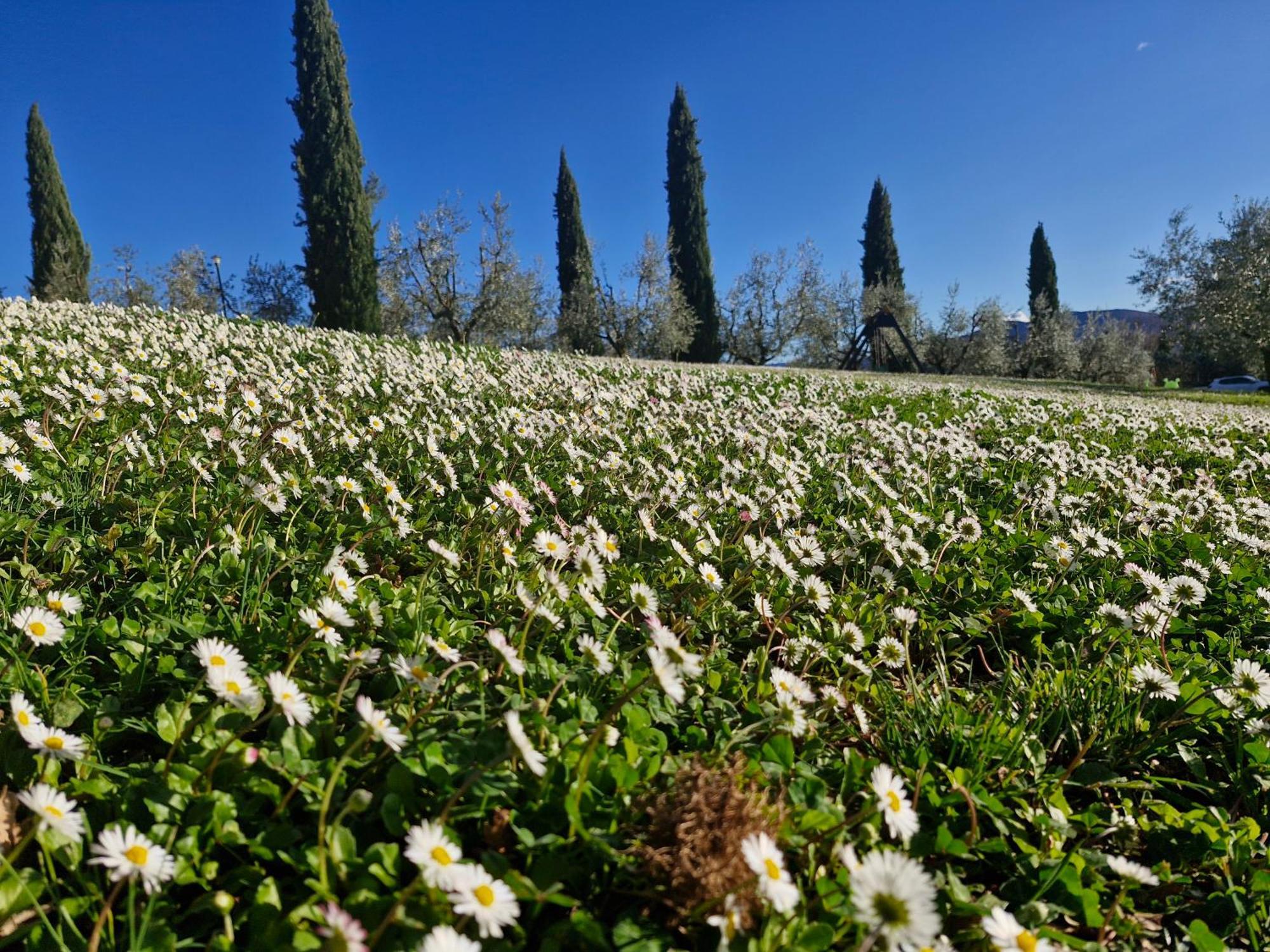 Agriturismo Val Della Pieve Анґ'ярі Екстер'єр фото