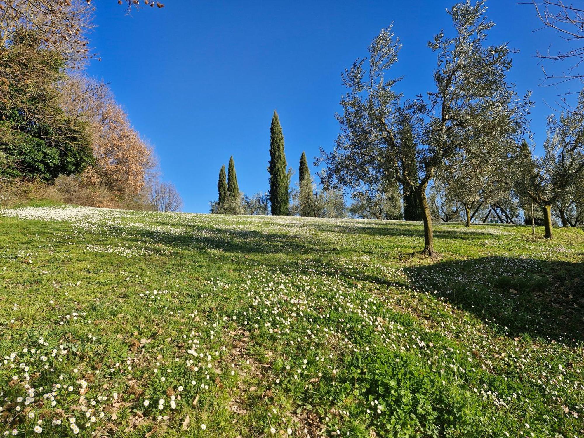 Agriturismo Val Della Pieve Анґ'ярі Екстер'єр фото
